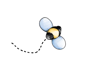 abeille