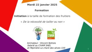 thumbnail of 2025-01-22 Initiation à la taille de formation des fruitiers