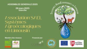 thumbnail of AG et Rapport d’activité SAEL 2024 VF